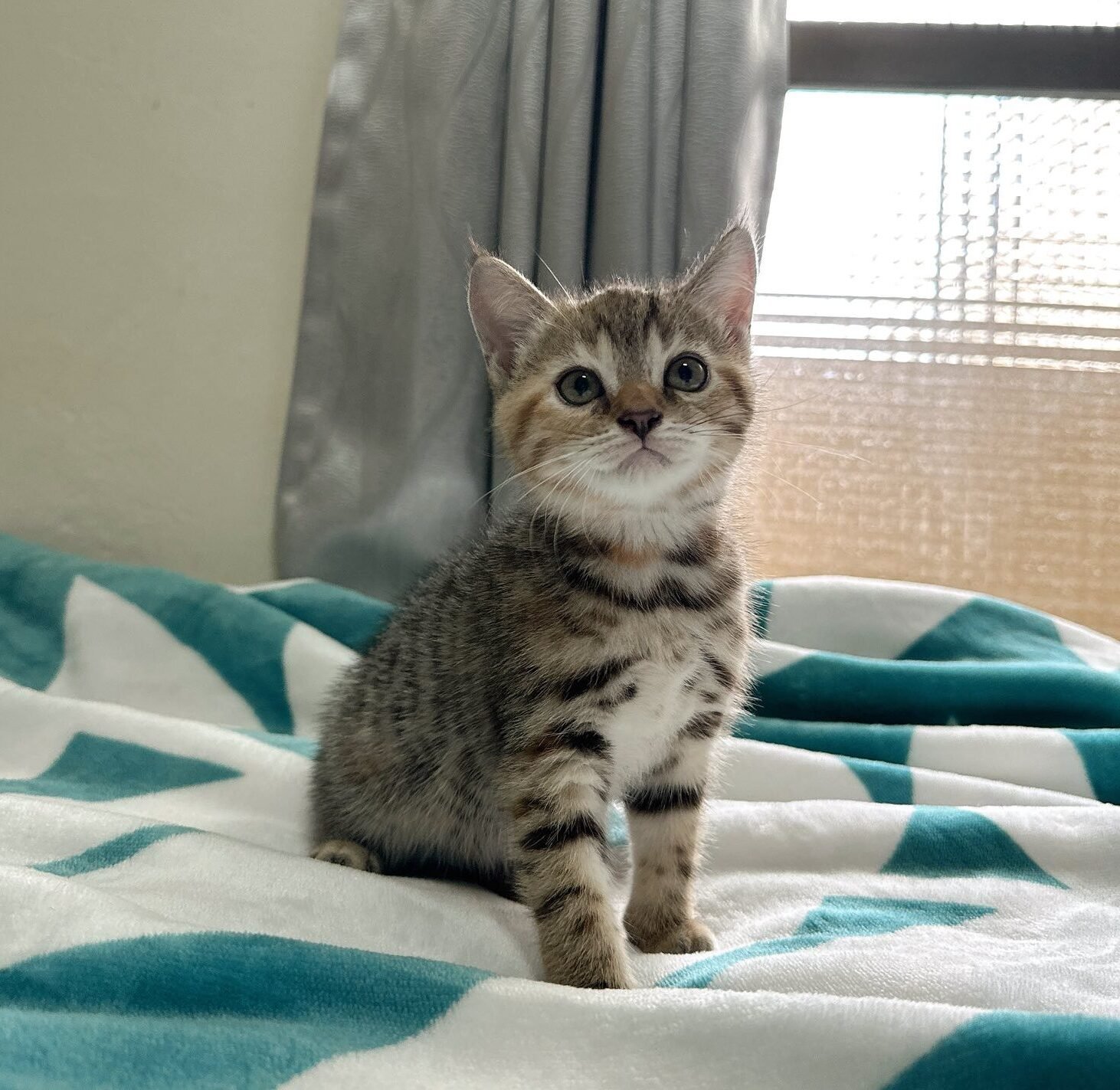 495301518_1144939800982587_268886608839721960_n