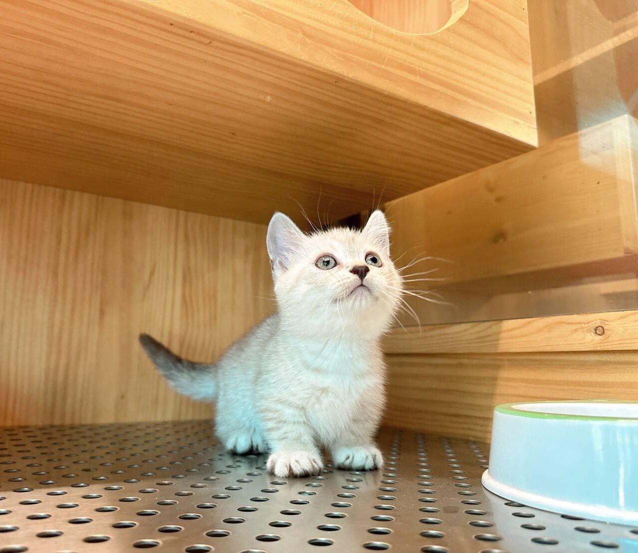 line_oa_chat_250703_122858