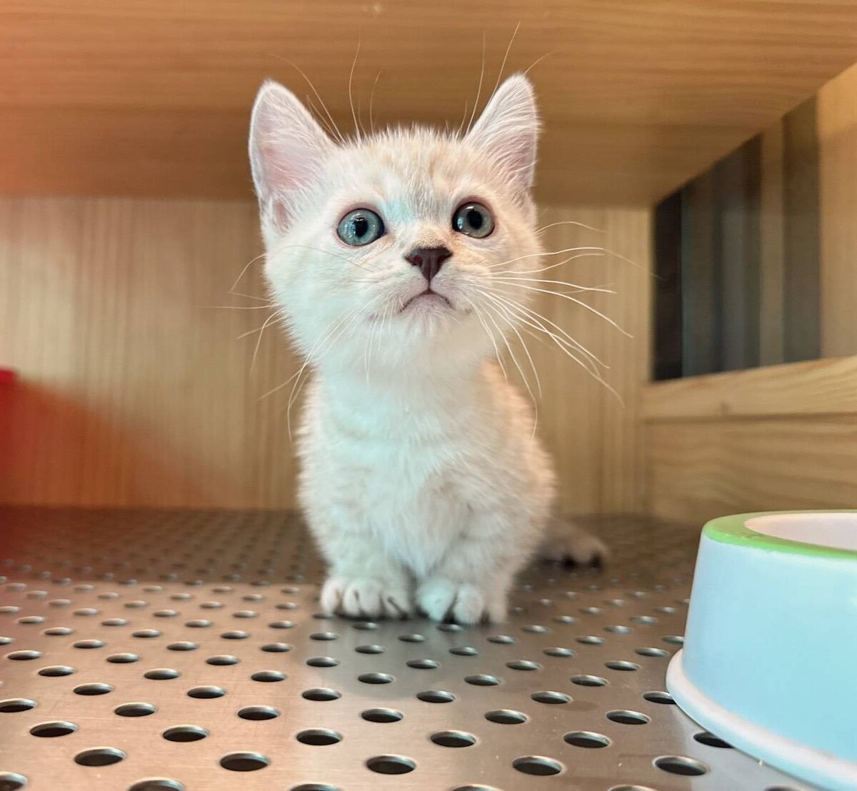 line_oa_chat_250703_122901