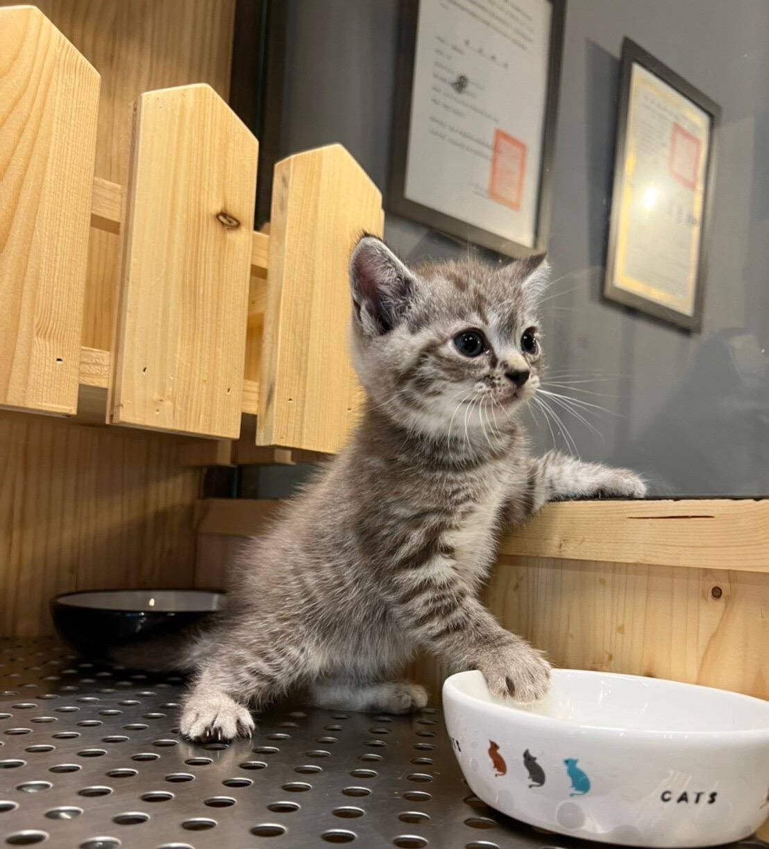 line_oa_chat_250703_122930