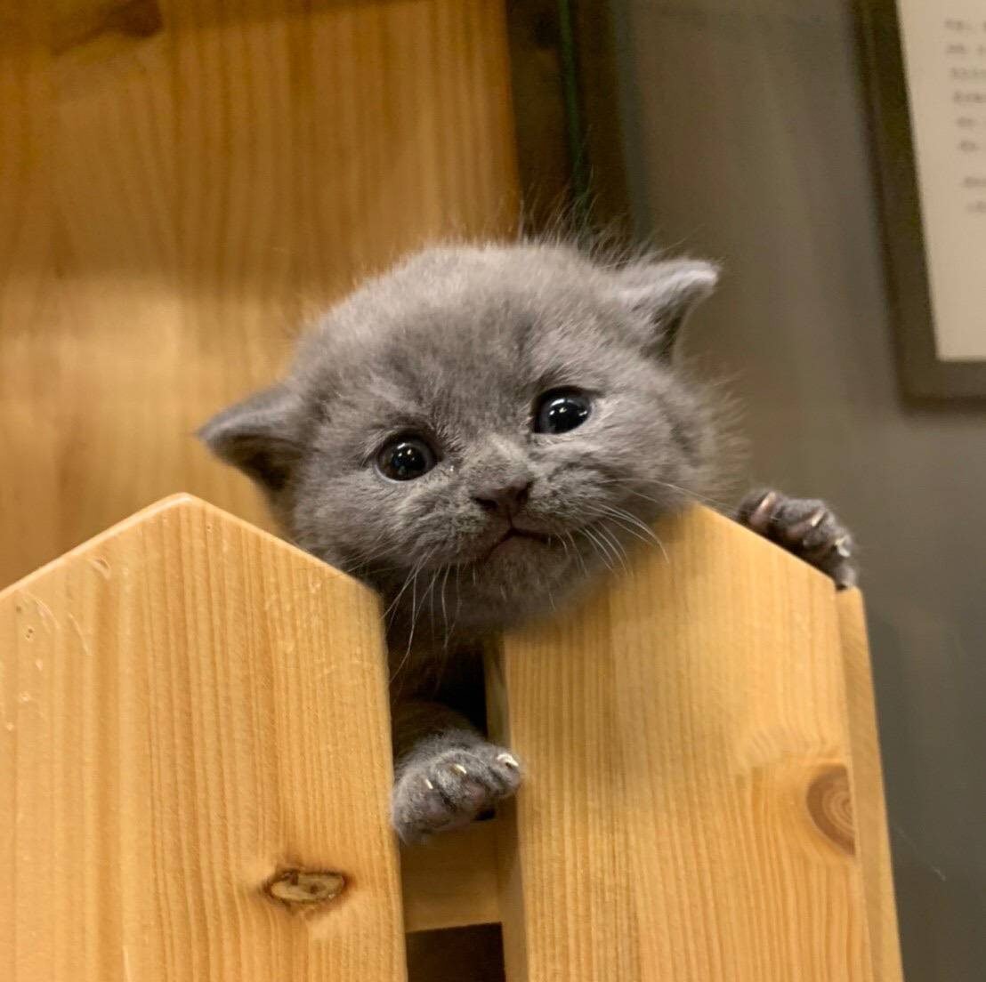 line_oa_chat_250703_122950