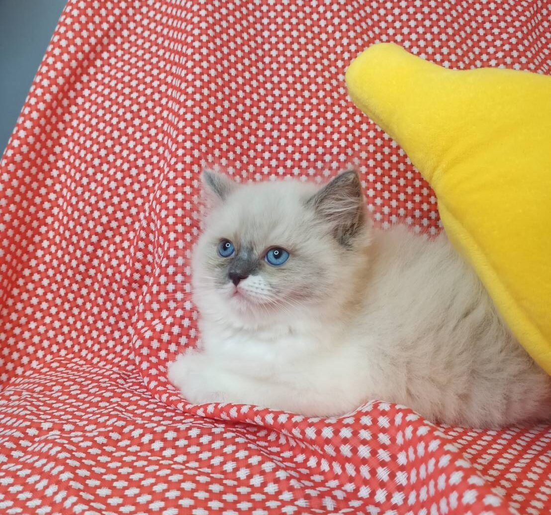 line_oa_chat_250703_123010 (1)