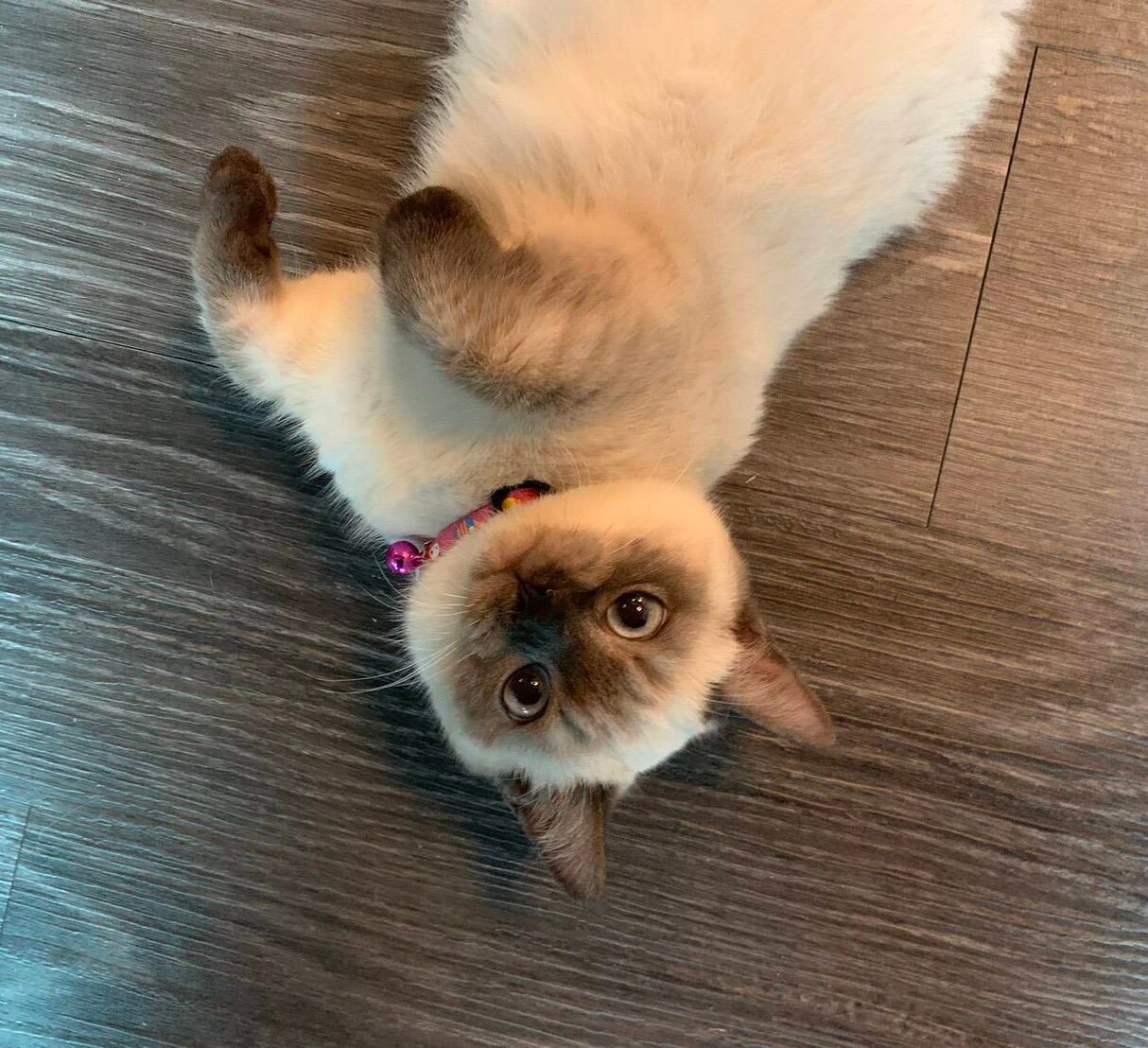 line_oa_chat_250703_123117