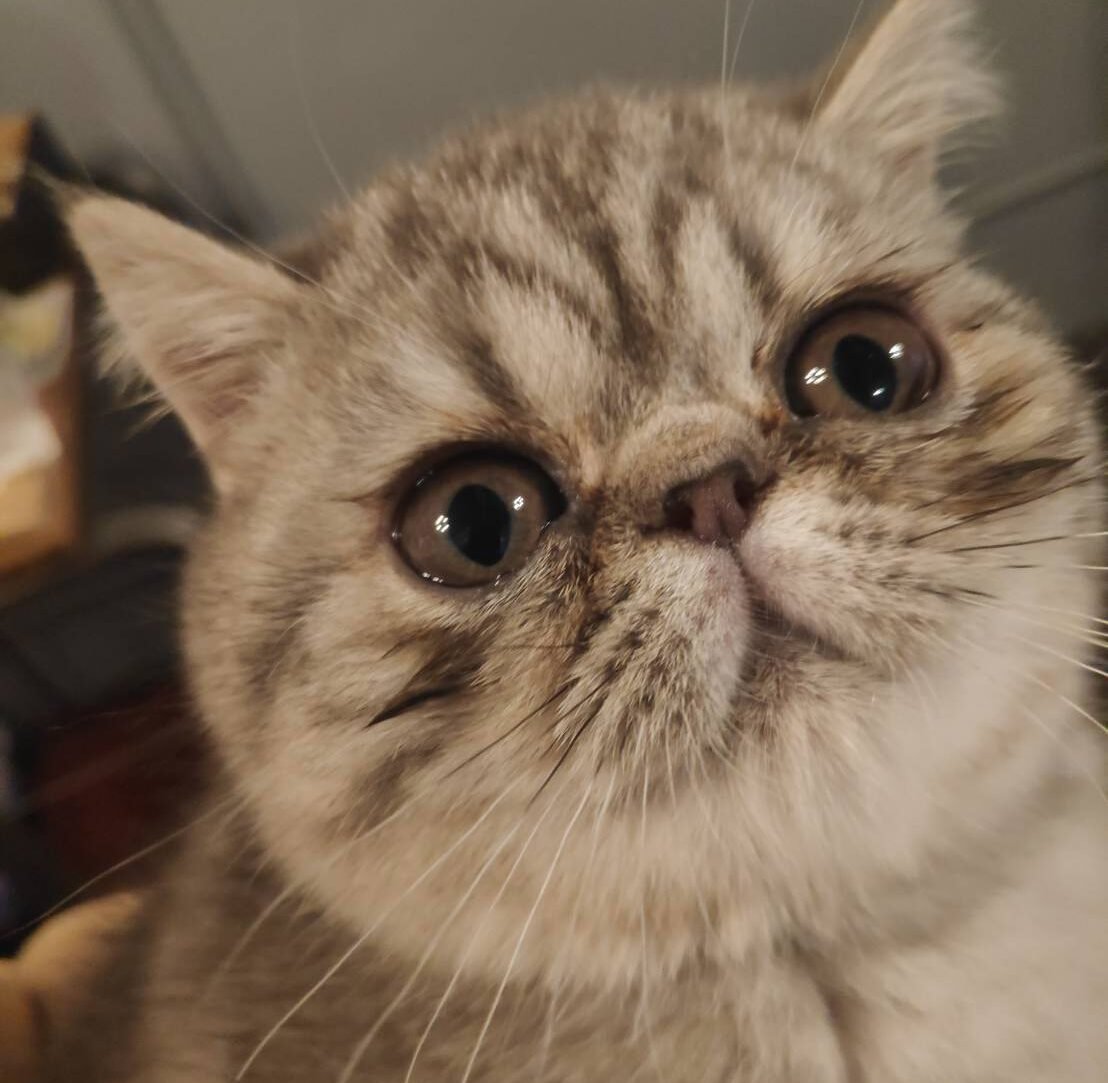 line_oa_chat_250703_123119 (1)